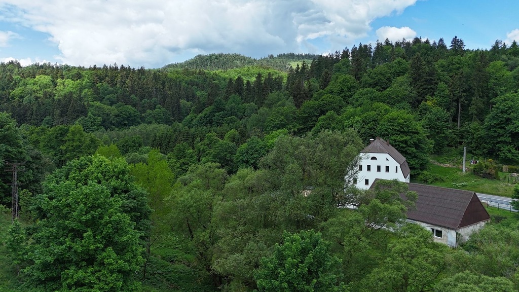 Luksus i Potencjał w Jednym | 350 m² | Dz. 2130 m²