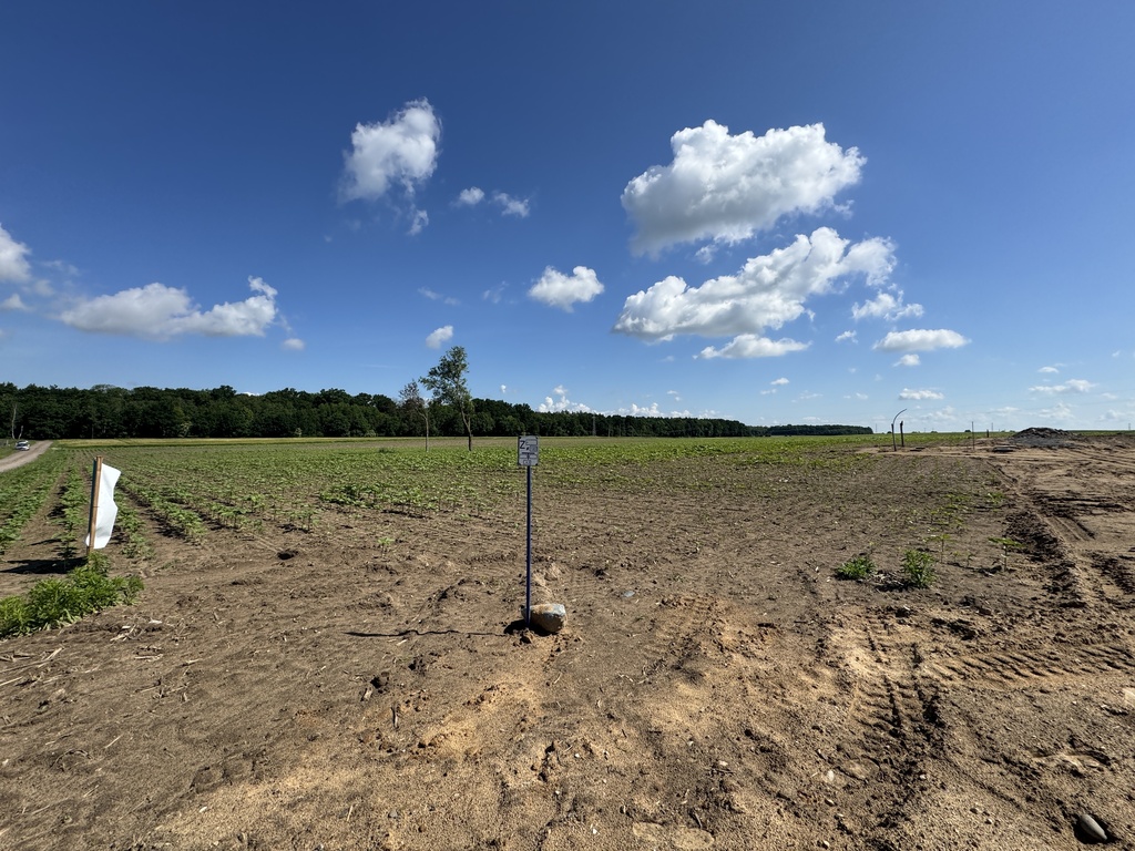 Działka 1355 m² przy lesie - MPZP, Kaźmierz