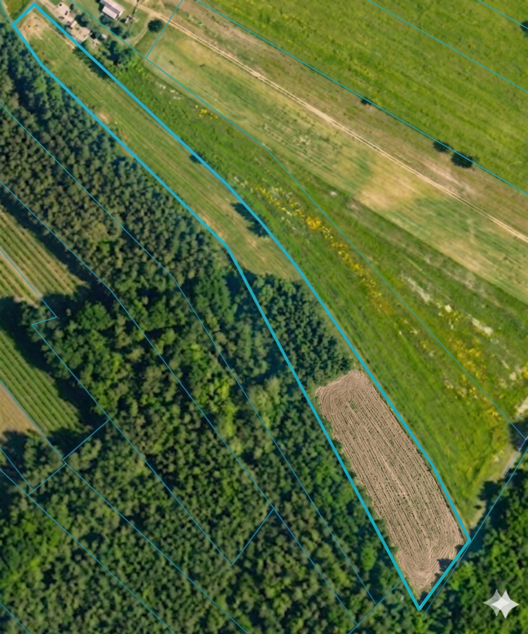56 arów pod dom + las, razem 1,39 ha