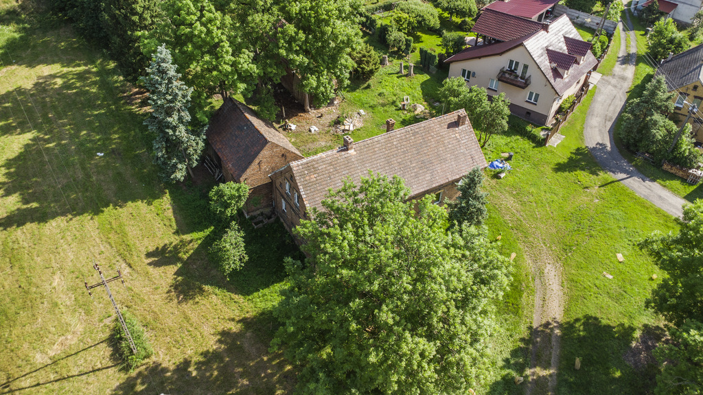 Dom z czerwonej cegły- siedlisko