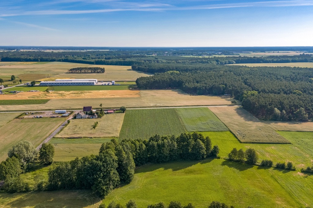 Spokój, natura i wygoda-zamieszkaj w Kiełkowie