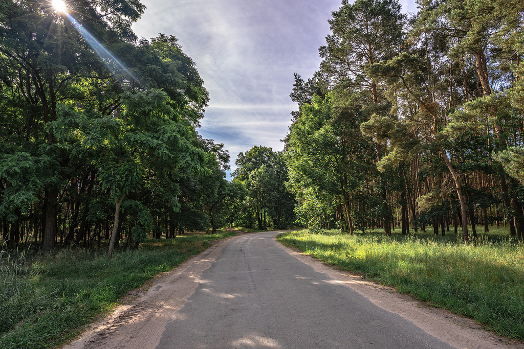 Spokój, natura i wygoda-zamieszkaj w Kiełkowie