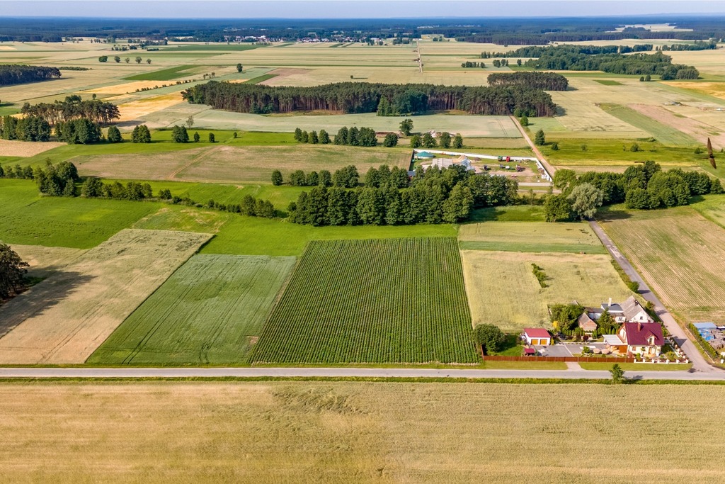Spokój, natura i wygoda-zamieszkaj w Kiełkowie