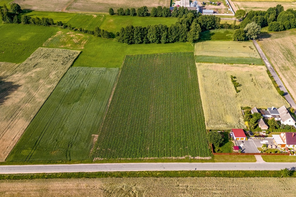 Spokój, natura i wygoda-zamieszkaj w Kiełkowie