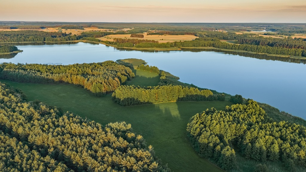 Twój kawałek lasu nad jeziorem Wieleńskim MPZP!