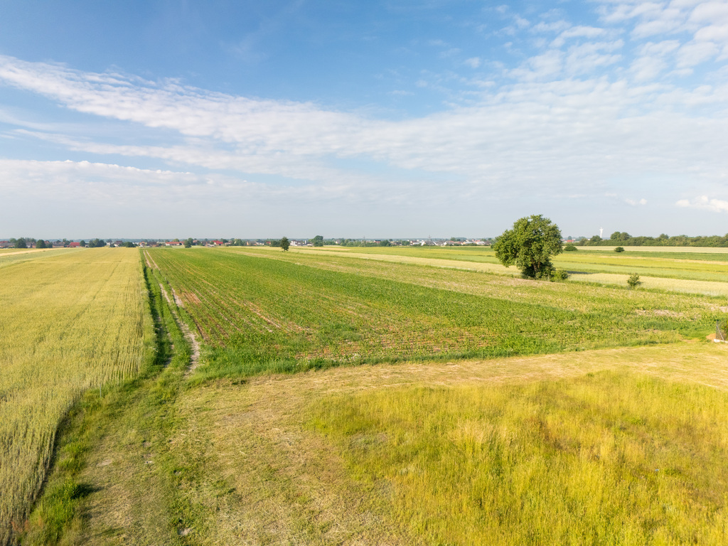 Ul. Moryca – działki z WZ od 97,88 zł/m²