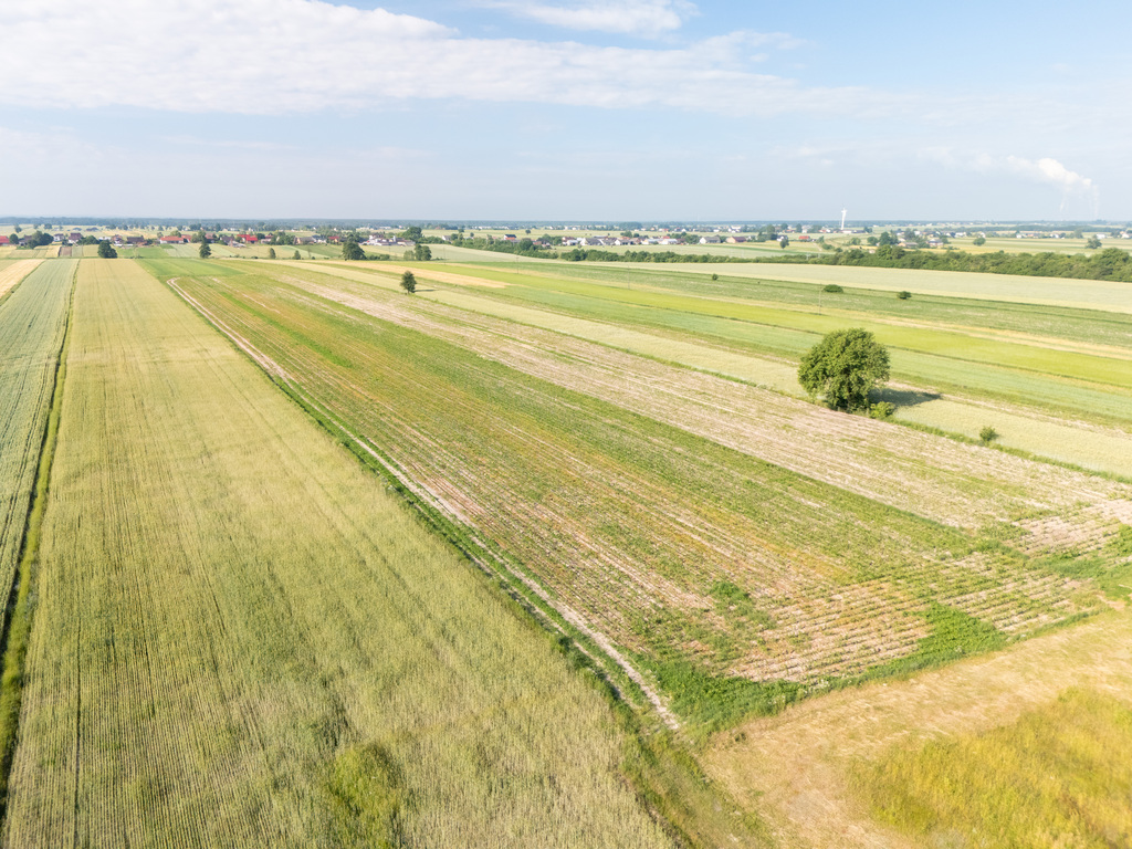 Ul. Moryca – działki z WZ od 97,88 zł/m²