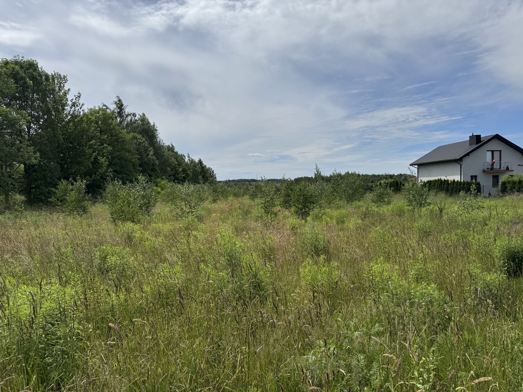 DZIAŁKA INWESTYCYJNO-BUDOWLANA 7 256 m² – NATOLIN