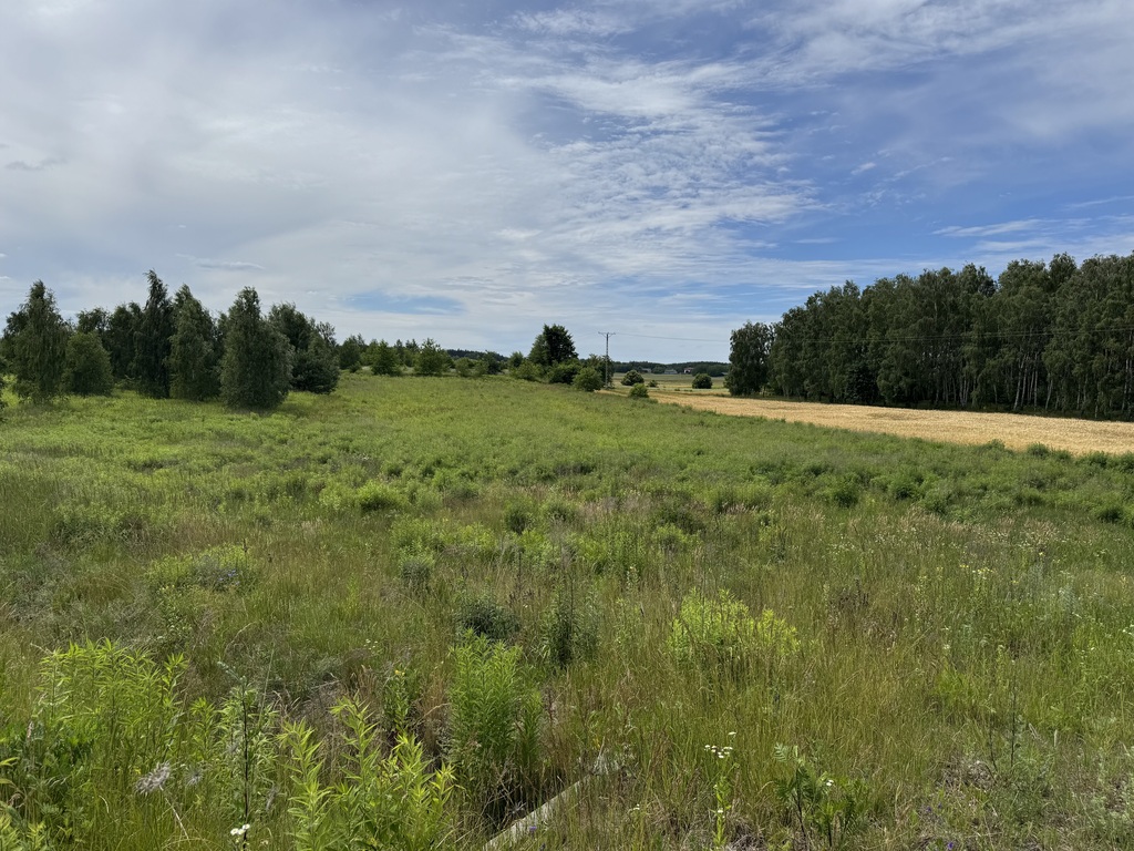 DZIAŁKA ROLNA NR 112/11 O POWIERZCHNI 7 256 m² – N