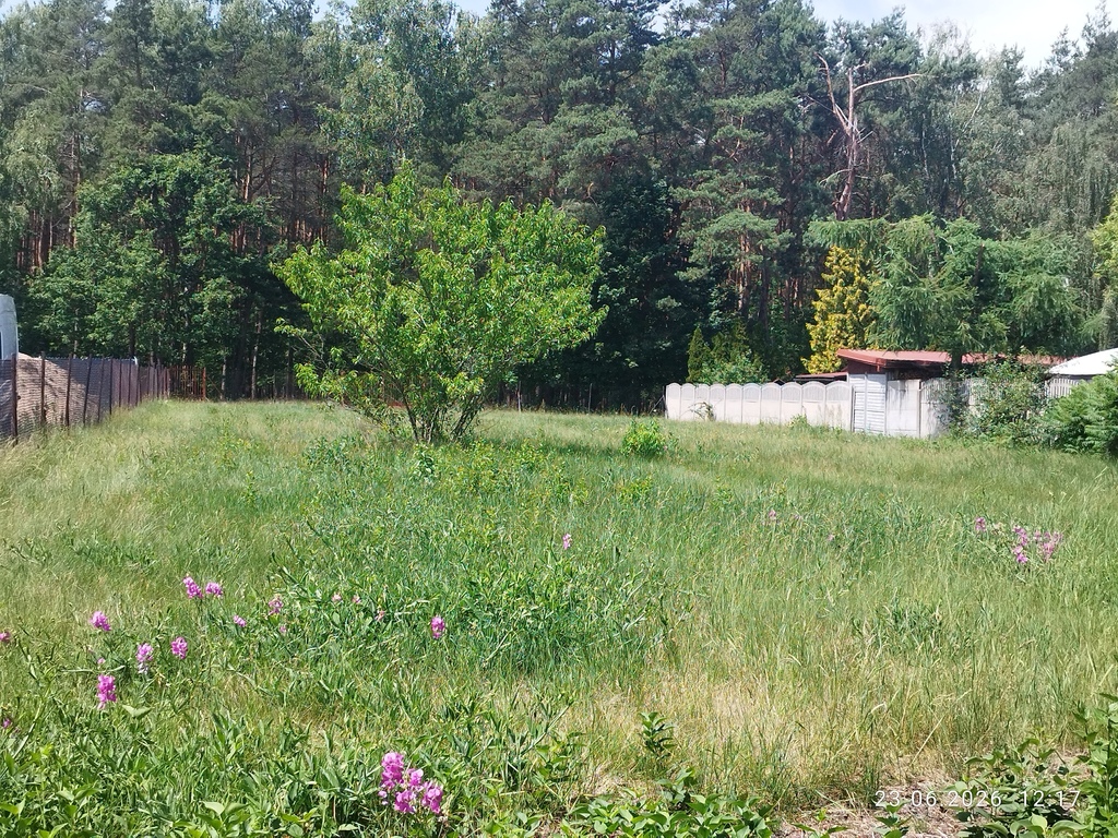 Dom parterowy w Piaskach Rudnickich, 1594m² działk