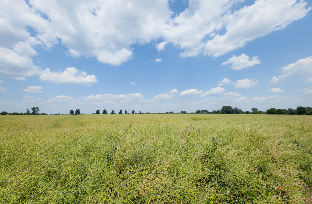 Działka inwestycyjna 1,17 ha Przeworsk MPZP