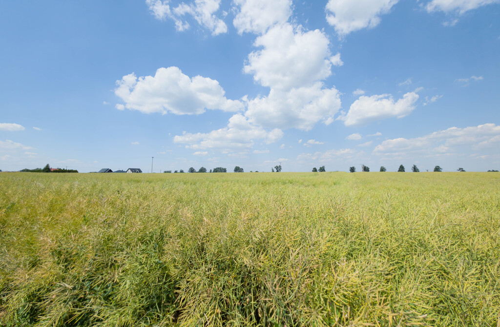 Działka inwestycyjna 1,17 ha Przeworsk MPZP