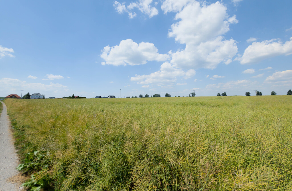 Działka inwestycyjna 1,17 ha Przeworsk MPZP