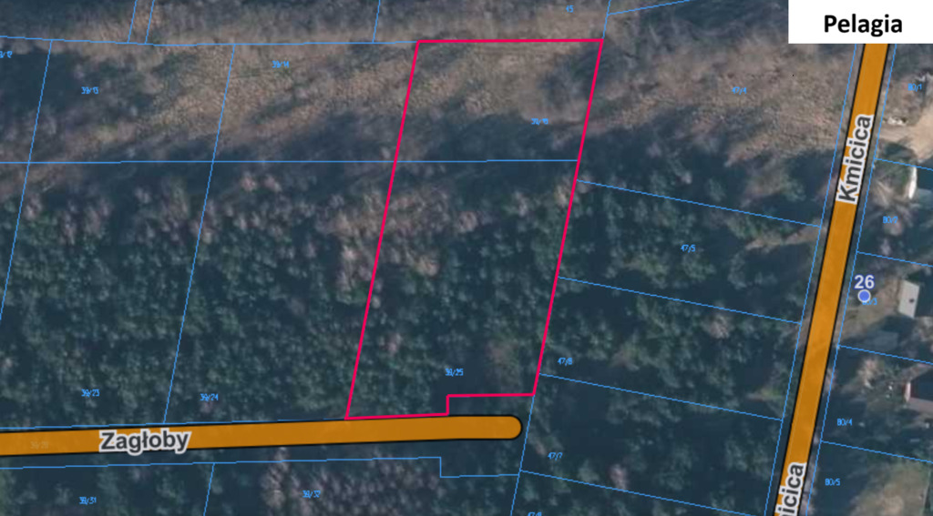 Działka 3960 m2 pod budowę domu z własnym lasem!