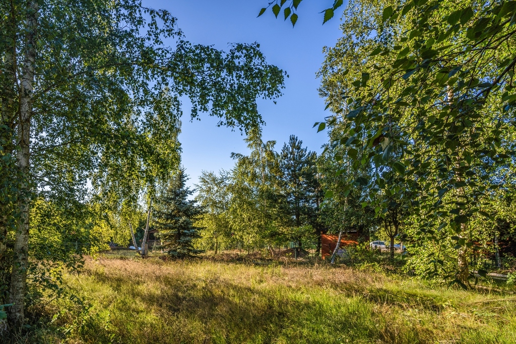 Działka która ma już wszystko oprócz właściciela