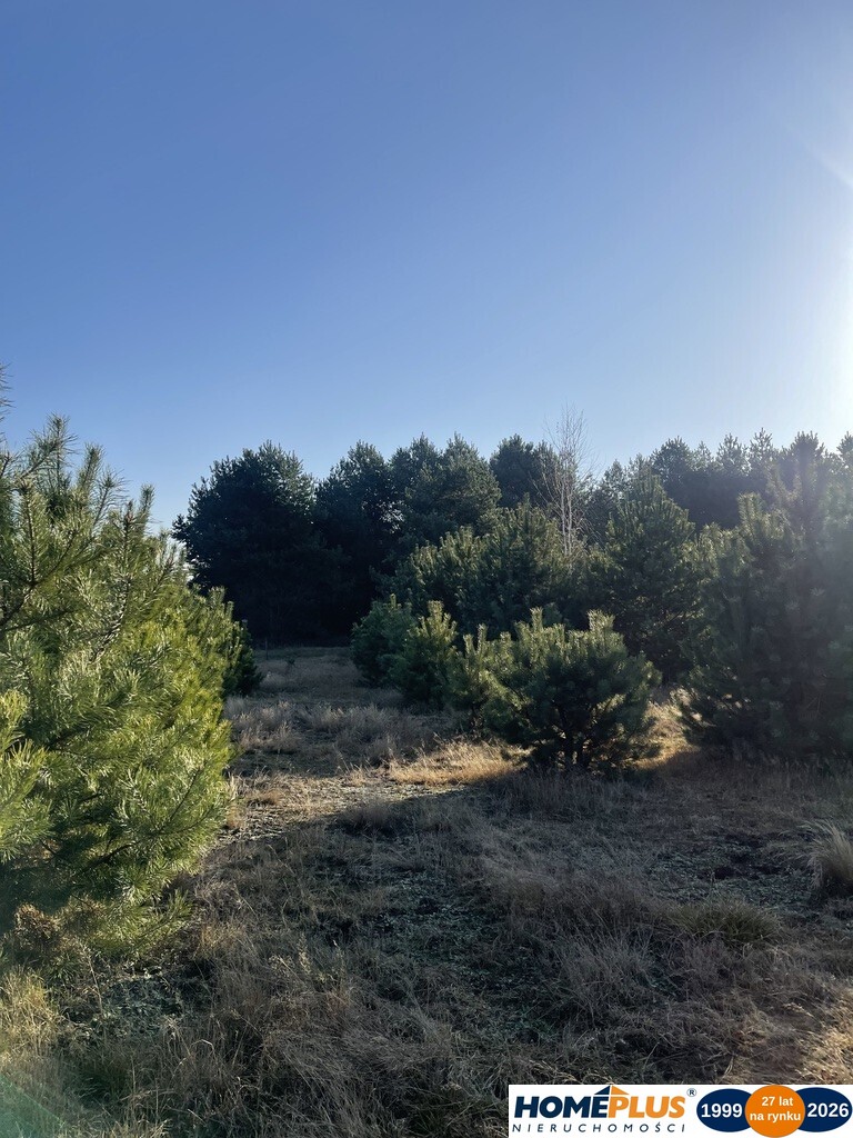 Działka o pow.6883 m² w zielonej okolicy.