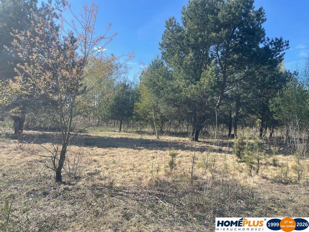 Idealne miejsce na dom,6241 m² blisko lasu i rzeki