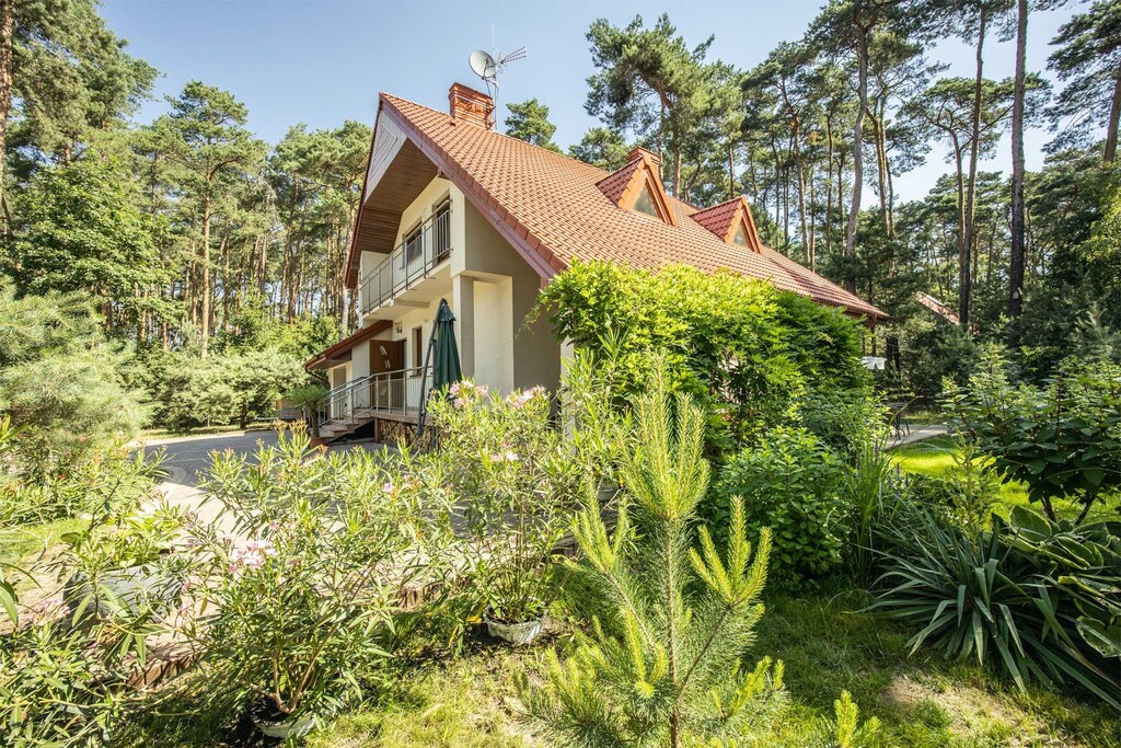 Wyjątkowy dom otulony lasem | Sokolniki-Las