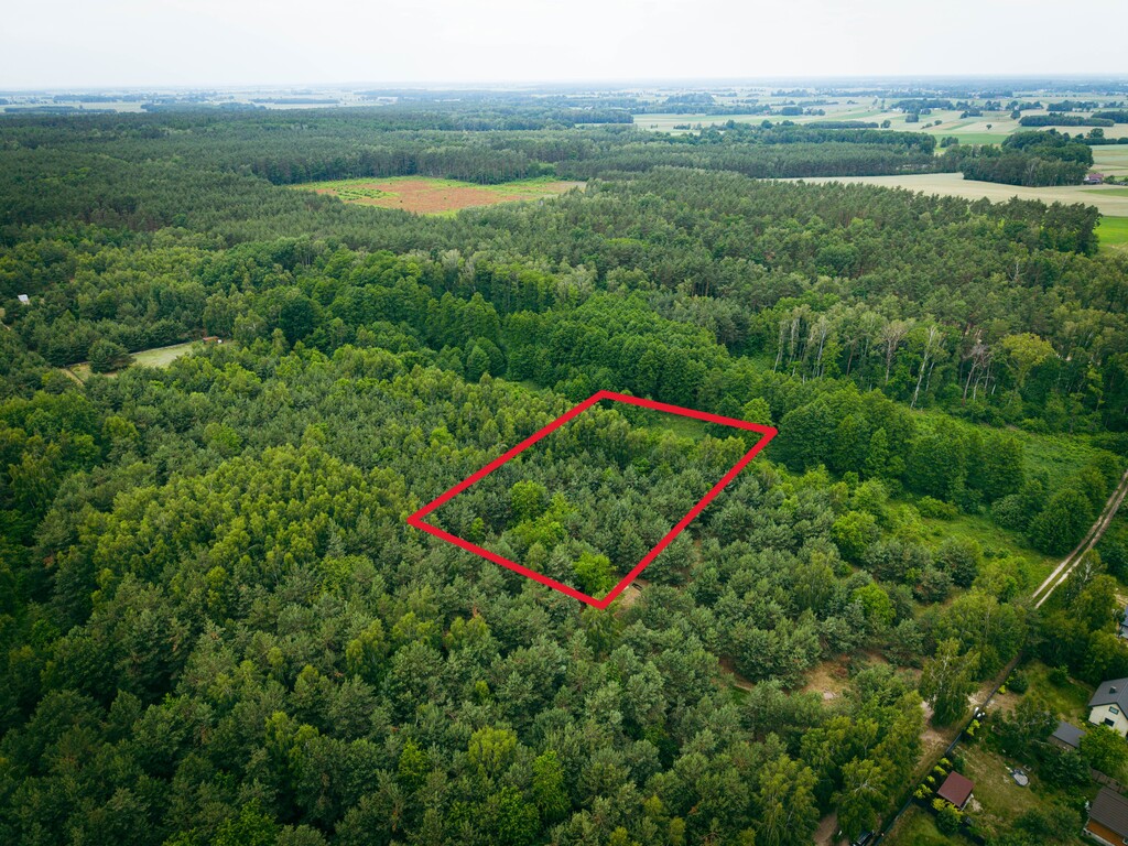 Działka 3960 m2 pod budowę domu z własnym lasem!
