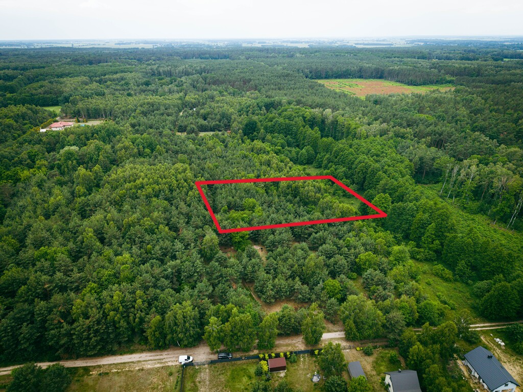 Działka 3960 m2 pod budowę domu z własnym lasem!