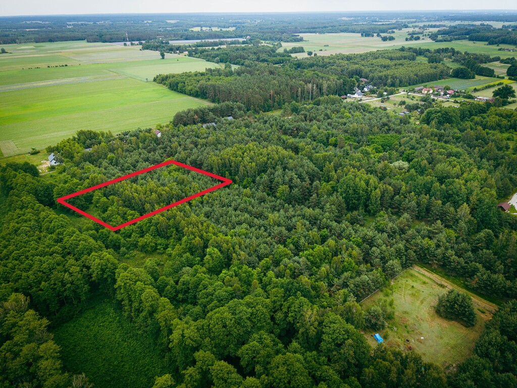 Działka 3960 m2 pod budowę domu z własnym lasem!