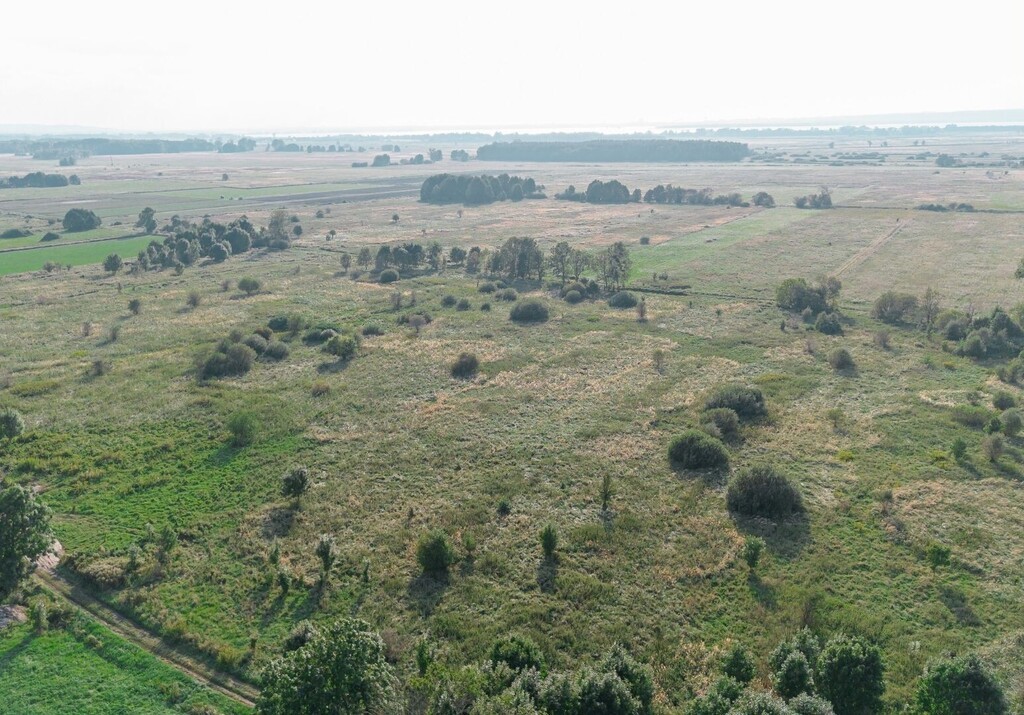 Rurzyca 1212m2,Decyzja w.z. prąd .wodociąg.