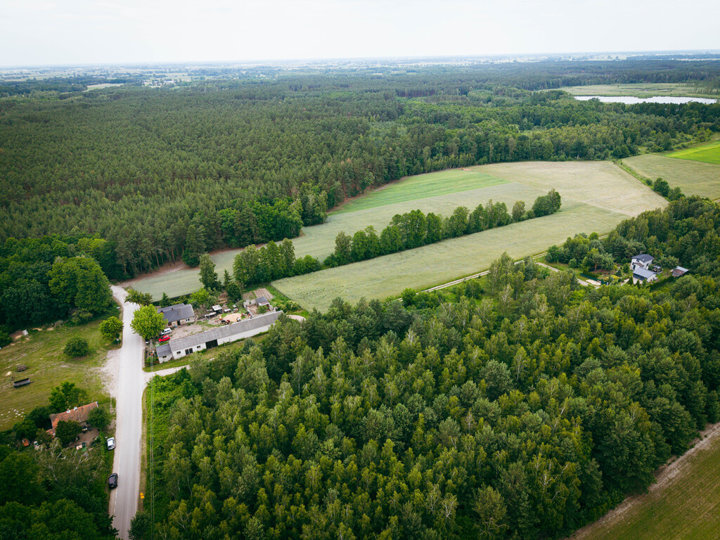 Działki budowlane w Kwilnie – spokój i natura
