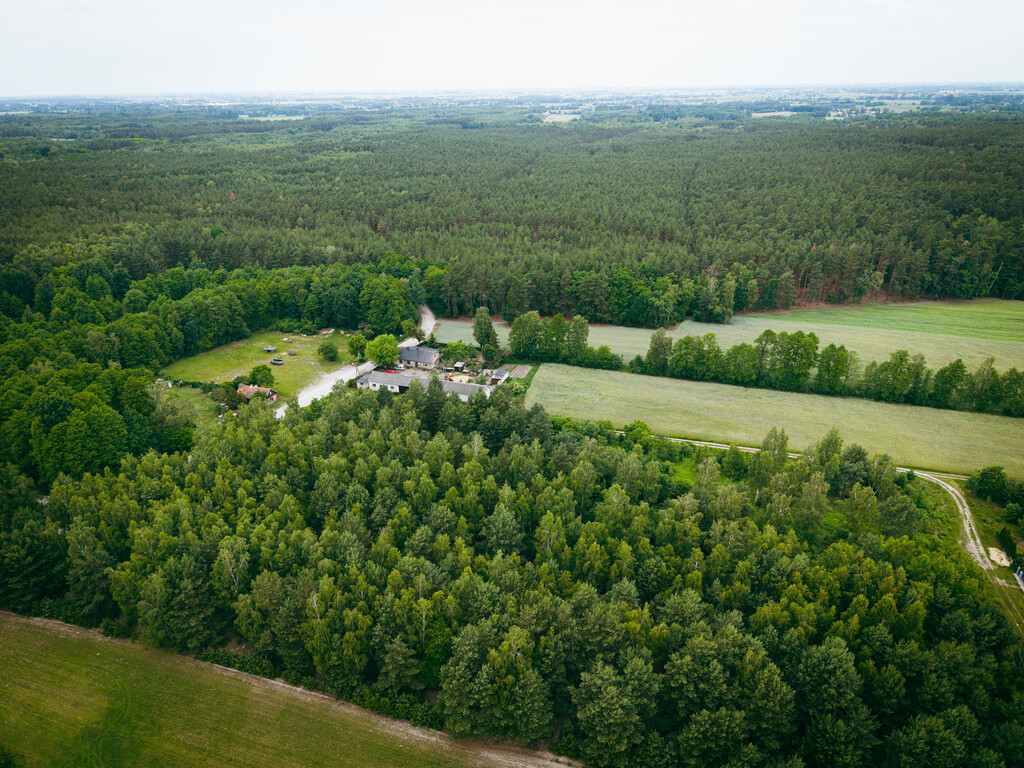 Działki budowlane w Kwilnie – spokój i natura