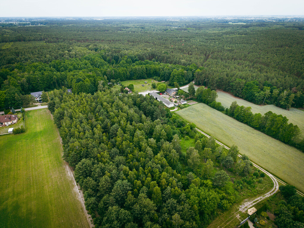 Działki budowlane w Kwilnie – spokój i natura