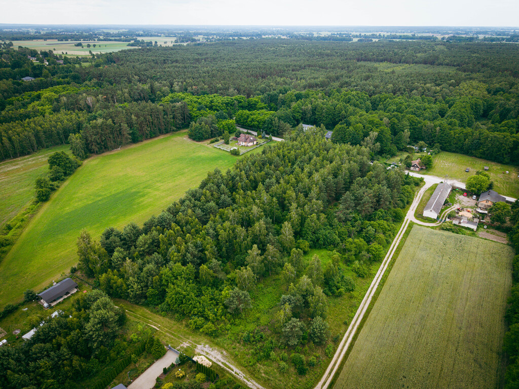 Działki budowlane w Kwilnie – spokój i natura