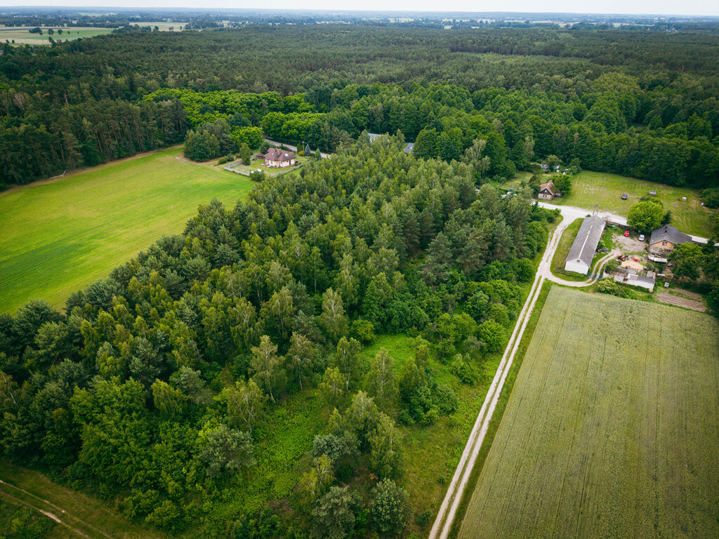 Działki budowlane w Kwilnie – spokój i natura