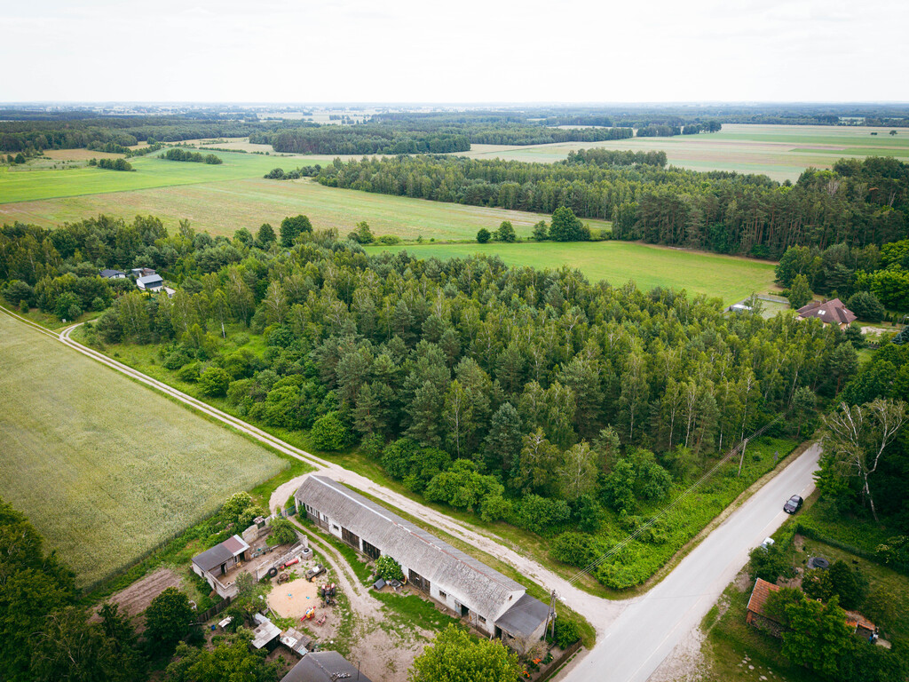Działki budowlane w Kwilnie – spokój i natura