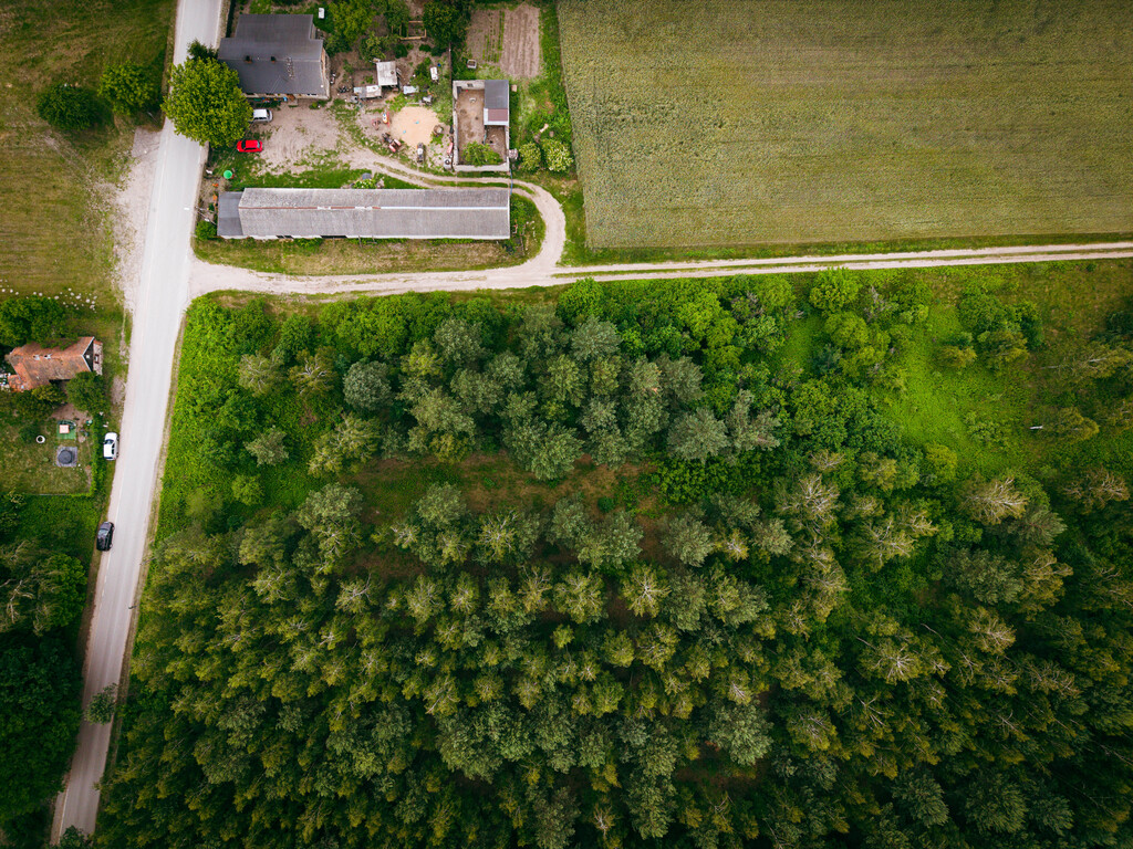 Działki budowlane w Kwilnie – spokój i natura