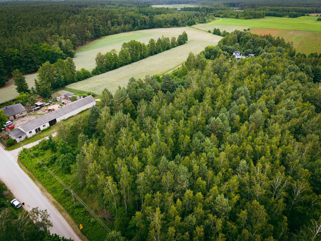 Działki budowlane w Kwilnie – spokój i natura