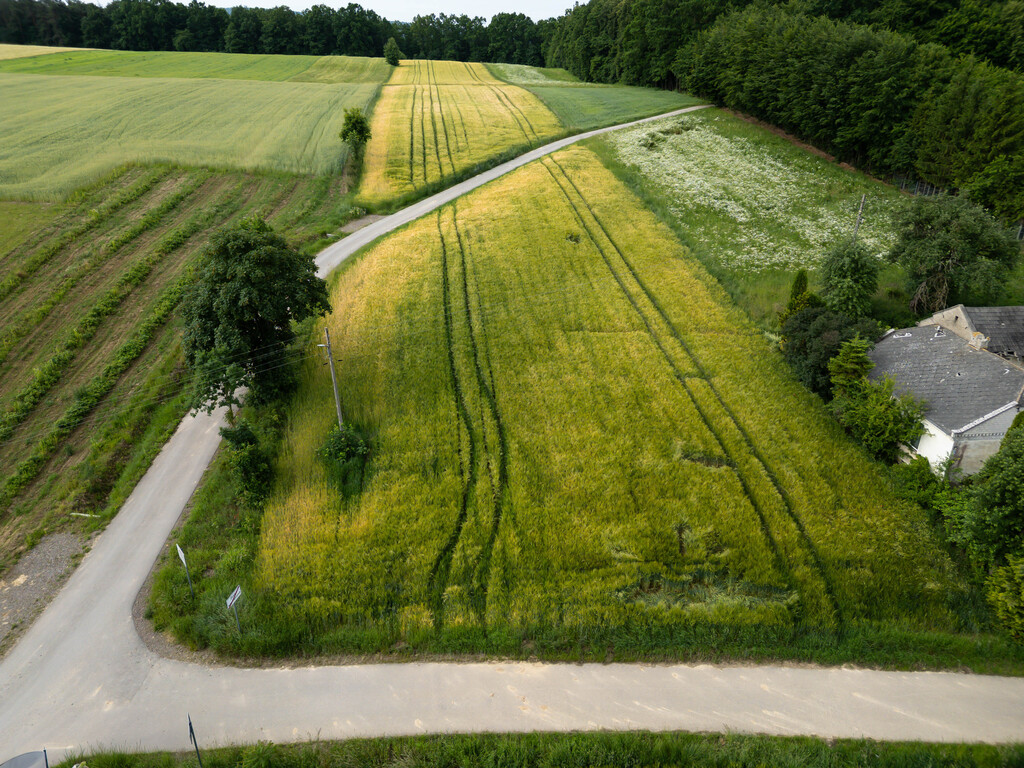 Ustawna działka z WZ 2500m2 - Czajęcice