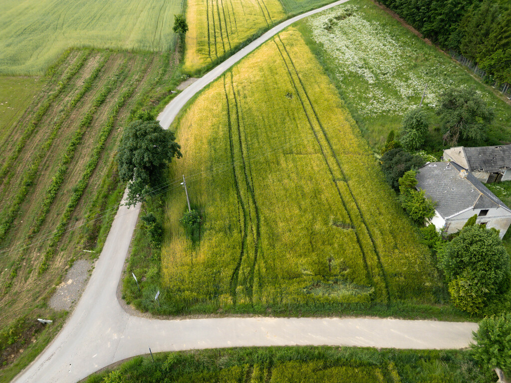 Ustawna działka z WZ 2500m2 - Czajęcice
