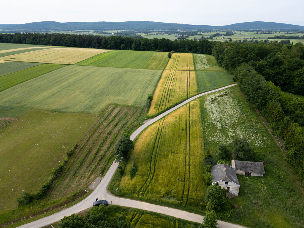 Ustawna działka z WZ 2500m2 - Czajęcice