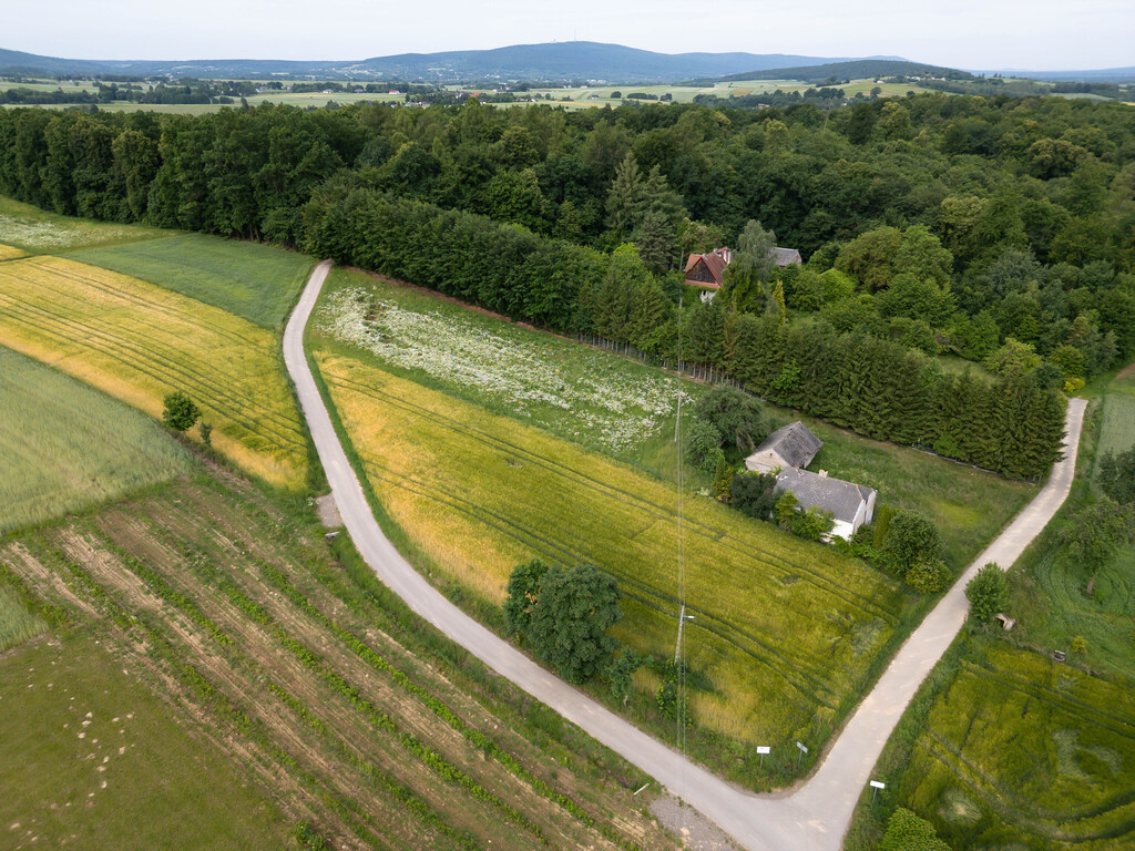 Ustawna działka z WZ 2500m2 - Czajęcice