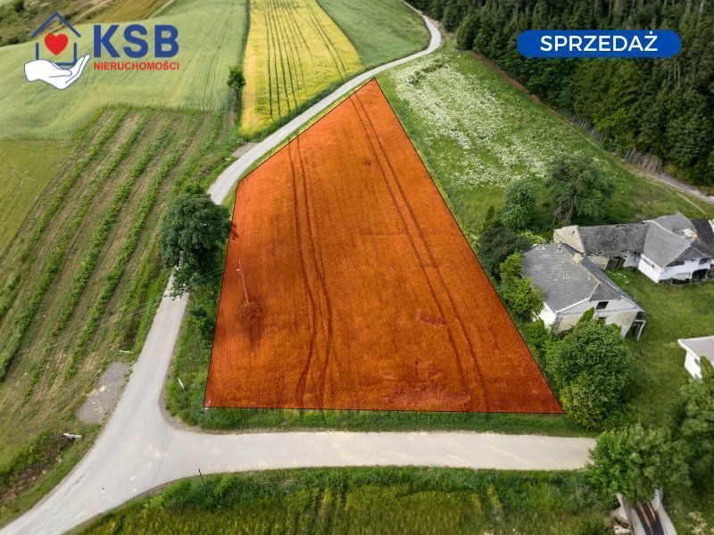 Ustawna działka z WZ 2500m2 - Czajęcice