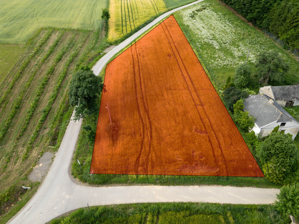 Ustawna działka z WZ 2500m2 - Czajęcice