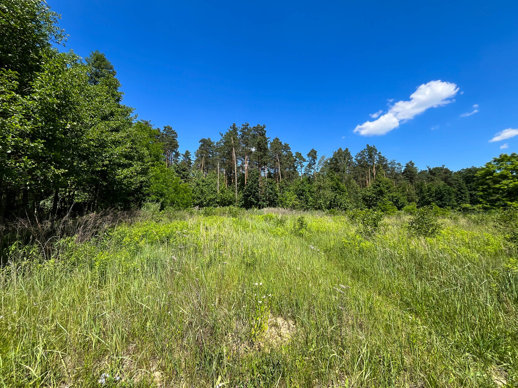 Działka budowlana z WZ-3019m2-Oliwkowa, Gutwin