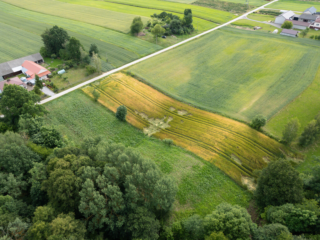 Ustawna działka z WZ - 8300m2 Czajęcice