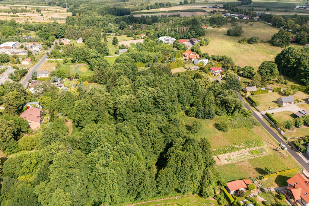Działka ze stawem poniżej 100 tysięcy