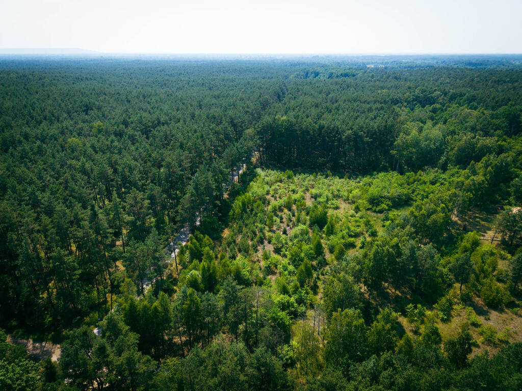 Działka budowlana, 3000m2, Osina, gm. Kluki