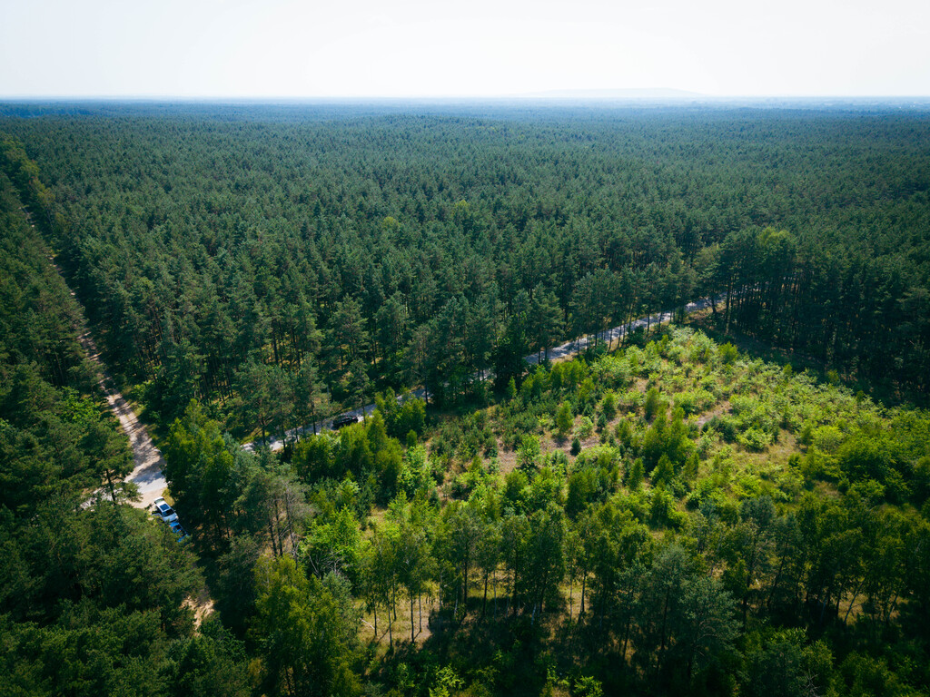 Działka budowlana, 3000m2, Osina, gm. Kluki