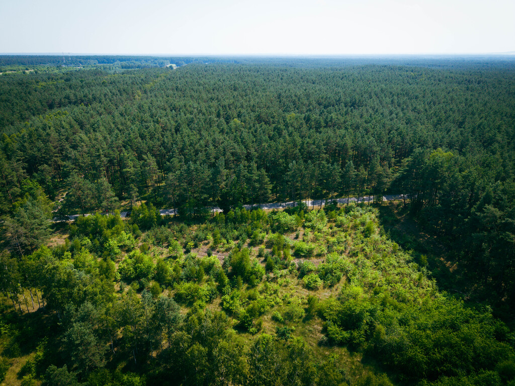Działka budowlana, 3000m2, Osina, gm. Kluki