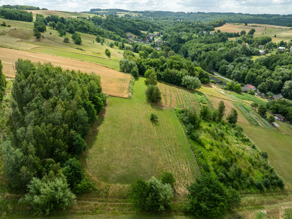 Broniszów - leśna  29 ar