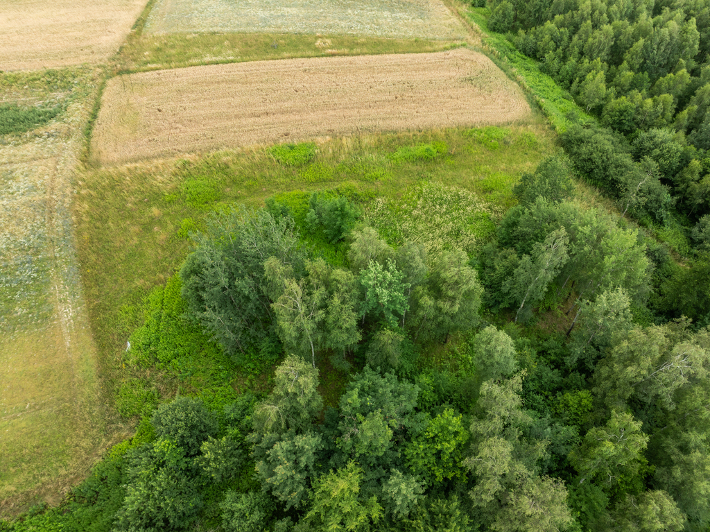 Broniszów - rekreacyjno- budowlana 37,63 ar