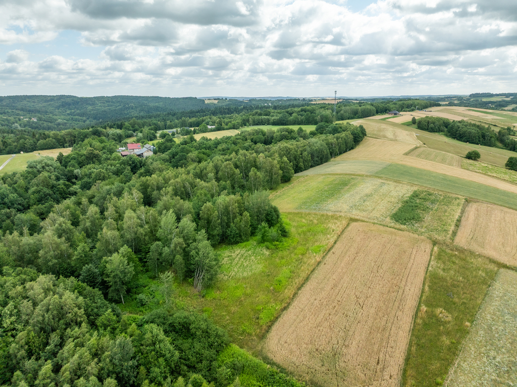 Broniszów - widokowa, budowlana 36,54 ar z WZ
