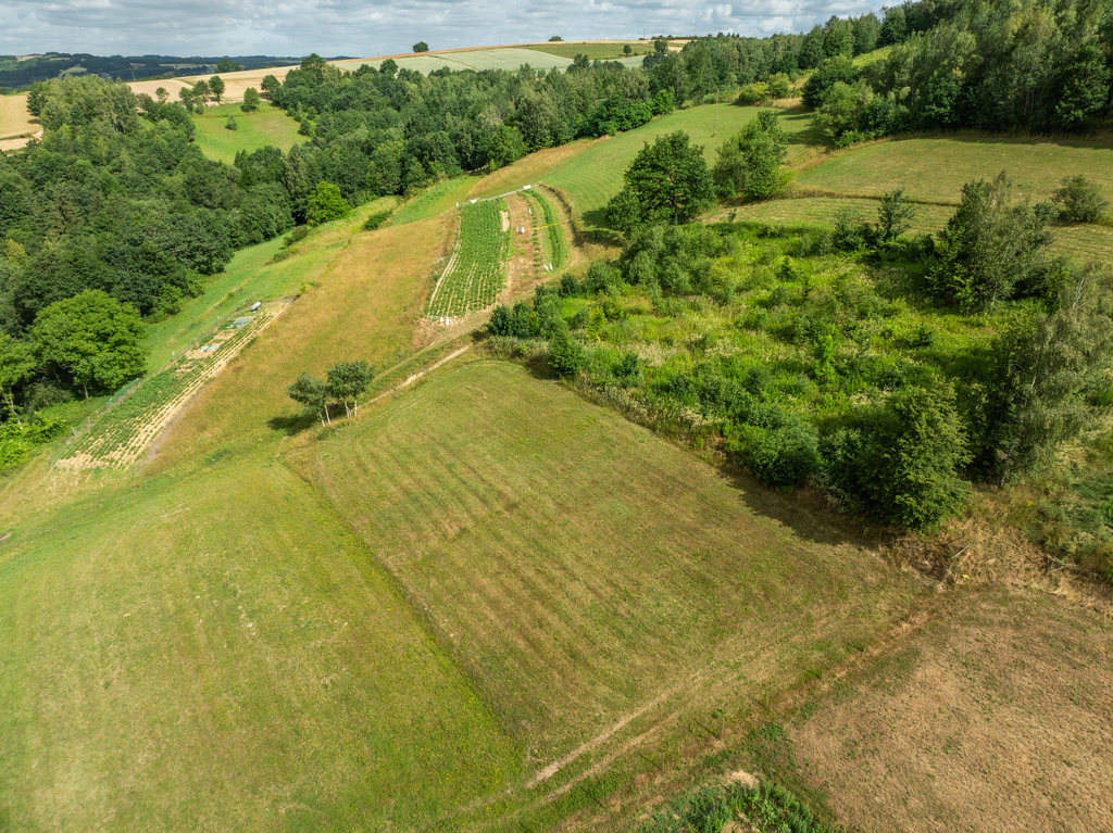 Broniszów - widokowa, budowlana 19,58 ar z WZ